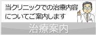 治療内容